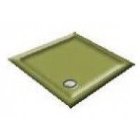 900x900x50mm Avocado Square Shower Trays